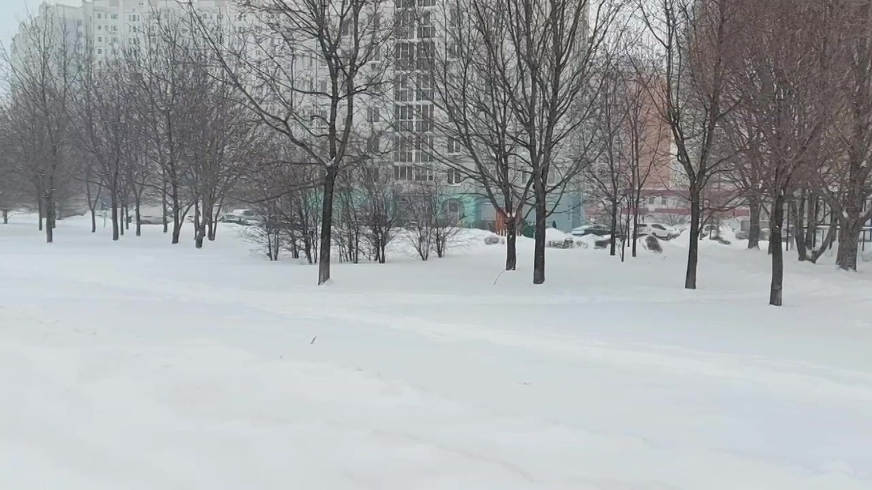 4 декабря снег. Холодная улица. ЮВАО снег. Снег в Москве май 2017. Снег летом в Москве 2017.