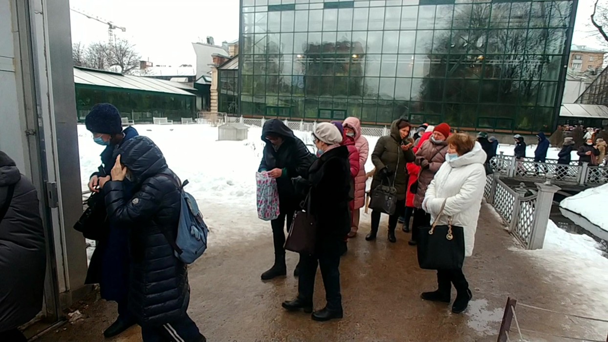 Очередь в аптекарский огород. Очередь в аптекарский огород. Репетиция весны в аптекарском огороде. Тюльпаны в ботаническом саду москва. Выставка цветов в аптекарском огороде.