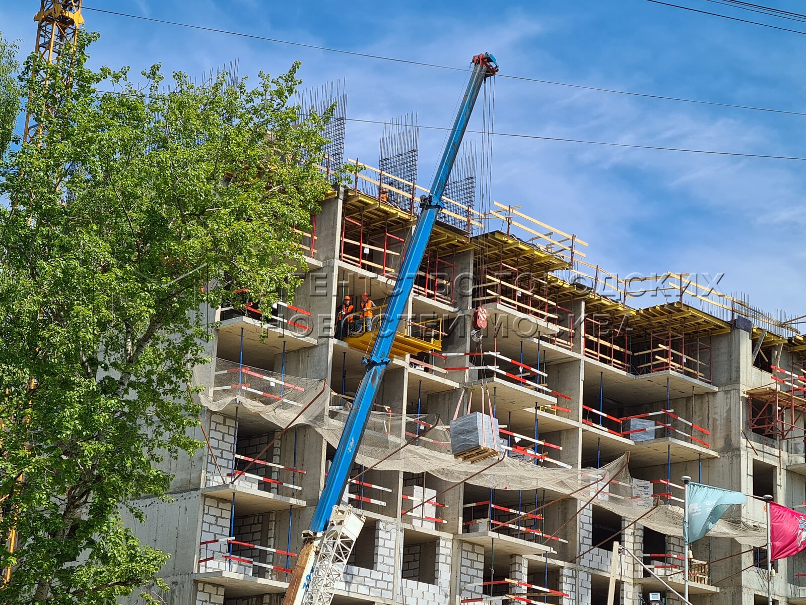 Жк бирюлево восточное. Реновация касимовская. Реновация касимовская 39. Реновация касимовская. Имени космонавта поповича улица, 22 южно сахалинск.