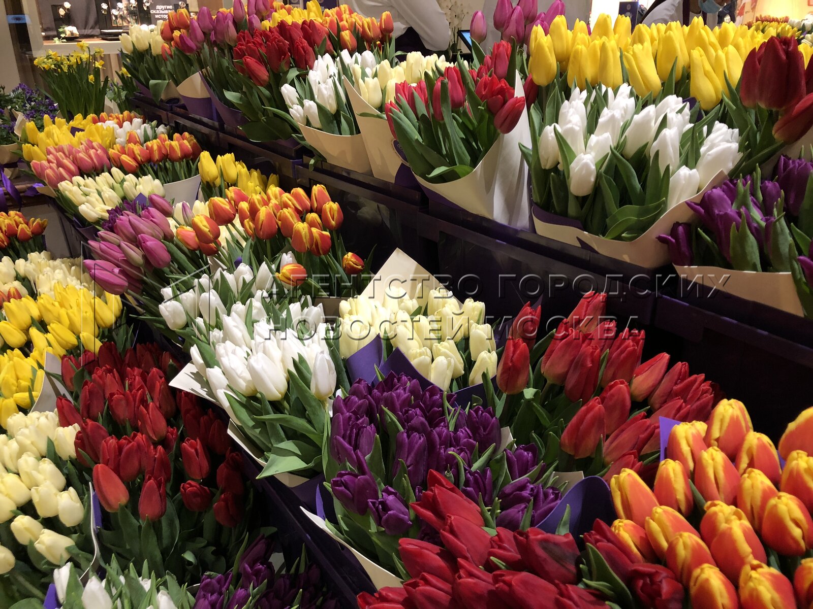 Тюльпаны купить набережные челны. Петровский Пассаж тюльпаны. Тюльпаны на цветочном рынке. Цветы живые. Тюльпаны с лентой.