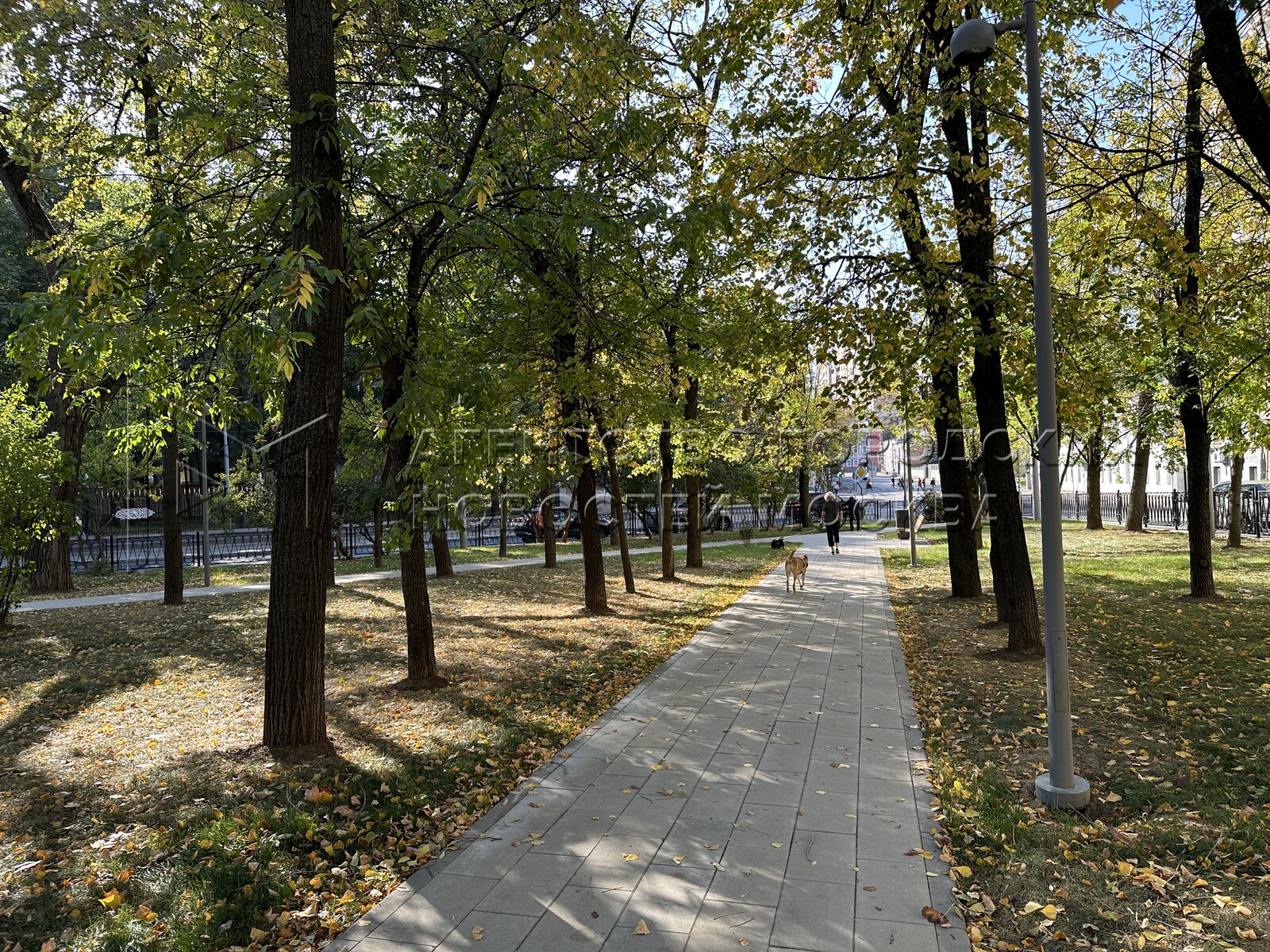 Площадь борьбы дом 13а. Площадь борьбы марьина роща. Площадь борьбы. Площадь борьбы 11. Площадь борьбы 11.